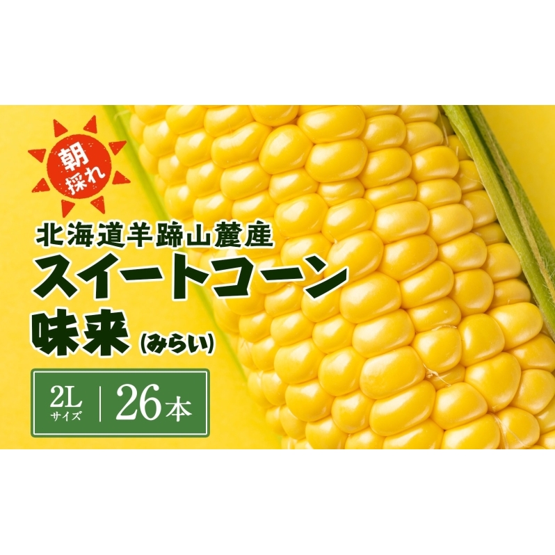 【 2025年発送 】先行予約 北海道 スイートコーン 味来 約10kg 2Lサイズ 計26本 とうもろこし とうきび コーン 新鮮 採れたて 産直 JAようてい北海道倶知安町22000野菜・きのことうもろこし