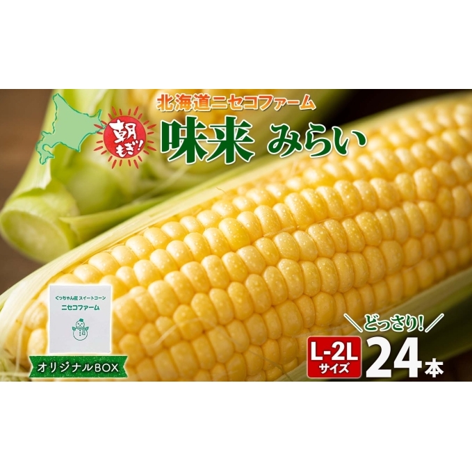 y 2026N  z kCY Ƃ낱  v24{ L-2L TCY 傫 ݂炢 { ̂ VN gERV Â Ė Ƃ  Yn  ׂ  kCm