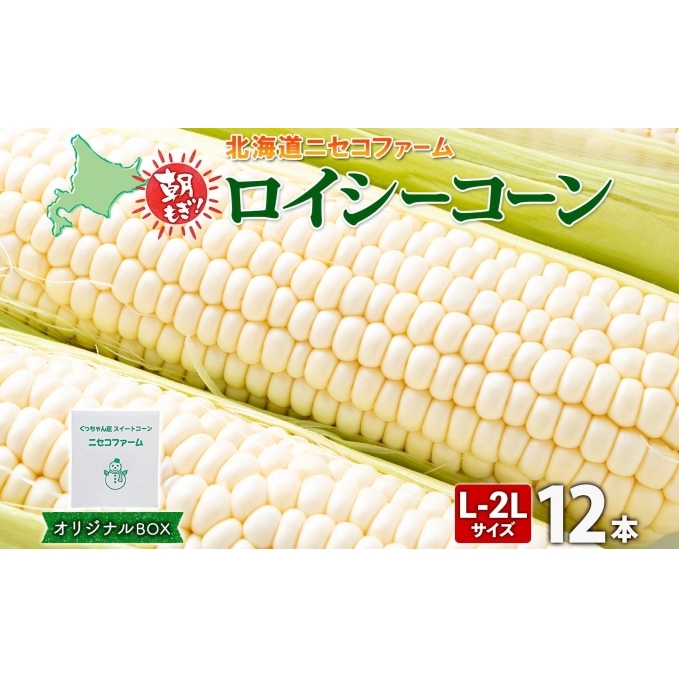 【 2026年 発送 】 北海道産 とうもろこし 計12本 L-2L サイズ混合 ロイシーコーン 大きめ 旬 朝採り 新鮮 トウモロコシ 甘い 夏野菜 とうきび お取り寄せ 産地直送 野菜 しりべしや  北海道倶知