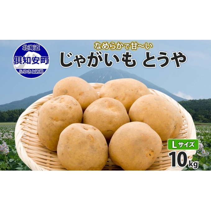 kCY Ⴊ Ƃ LTCY 10kg n鏒  WKC |eg   { C  _앨 Yn Y 퉷 kC   m rR J[ Ⴊ kCm