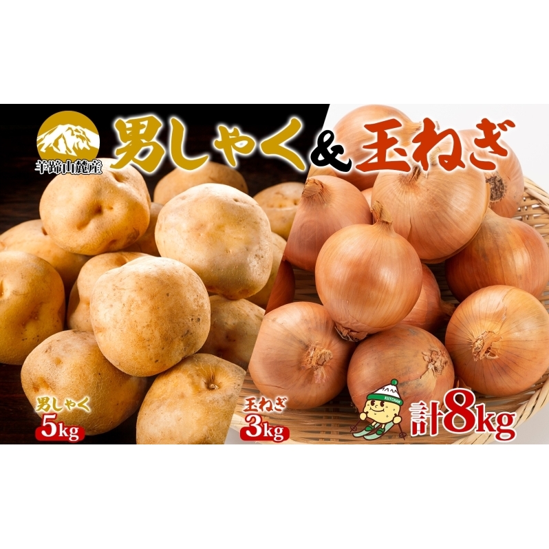 北海道産じゃがいも 男爵 5kg 玉ねぎ 3kg Lサイズ 計約8kg ジャガイモ 男爵いも 馬鈴薯 ポテトタマネギ 玉葱 常備野菜 根菜 産直 国産 JAようてい  北海道 倶知安町北海道倶知安町14000野菜・きの