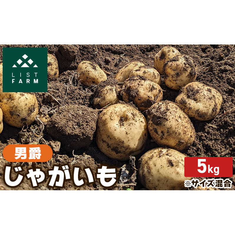 北海道 倶知安 じゃがいも 男爵 5kg リストファーム サイズ 混合 馬鈴薯 芋 ポテト イモ 産地直送 野菜北海道倶知安町12000野菜・きのこその他 野菜