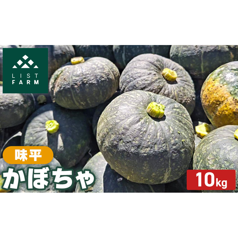 北海道 倶知安 かぼちゃ 味平 10kg リストファーム サイズ 混合 南瓜 カボチャ パンプキン 産地直送 野菜北海道倶知安町18000野菜・きのこその他 野菜