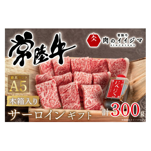  헤A5 Ă T[CMtg 2lO 300g ؔ ^t hV̓ v[g a j  oY  јa  l MtgΉỹCCW}z 錧 ˎs