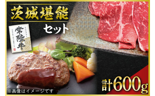 CT-3 茨城堪能セット<常陸牛スライスと冷凍生ハンバーグ・タレセット>茨城県水戸市22000肉牛肉