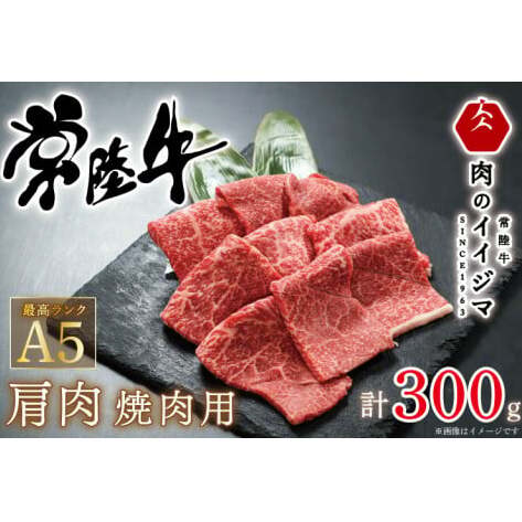  헤A5  ē 300g 1~ 10000~ v[g a  lΉ hV̓ MtgΉ j oY  C 錧 ˎs ỹCCW}ziDU-49j錧ˎs10000