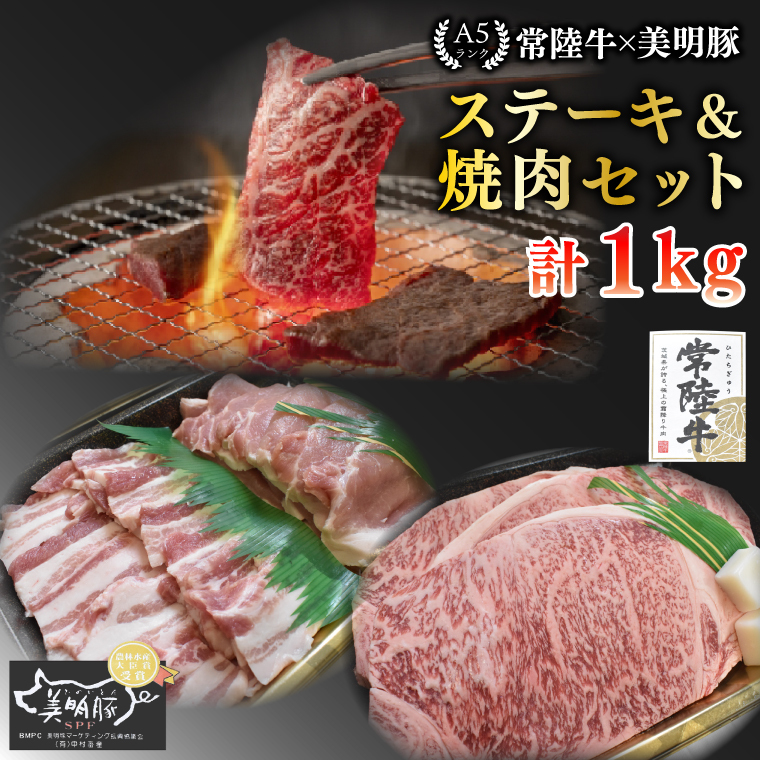 【常陸牛 A5ランク・美明豚ステーキ焼肉セット】常陸牛サーロイン600g(300g×2枚)+美明豚400g(ロース200g・ばら200g) 冷凍 国産牛 和牛 牛肉 豚肉 ブランド豚 茨城県 水戸市 食べ