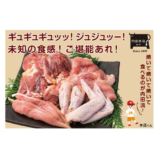 vHZbgy R{ Y { Hۂ ^ ^  Ⓚ ˎs  錧 30000~ȓ 3~ȓziEC-15j錧ˎs29000{