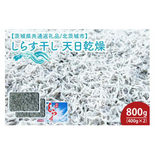 炷 V800gi400g×2jy錧ʕԗi/kszyVX g JVE  10000~ȓ 1~ȓz  (HY-11)錧ˎs8600ECY̑ ECY