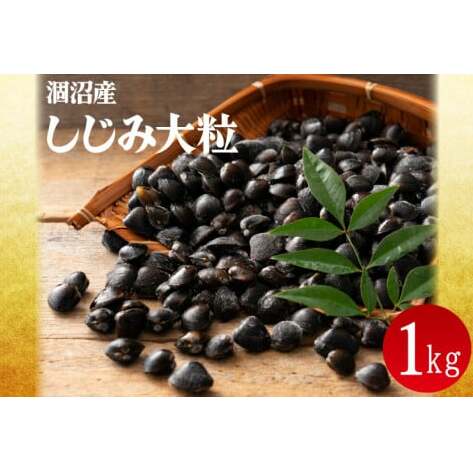 Y Ⓚ 嗱 1kg(200g×5p)iVW~ 嗱 ڎd ς   X` ݂` 錧ziCA-1j錧ˎs10000ECYL