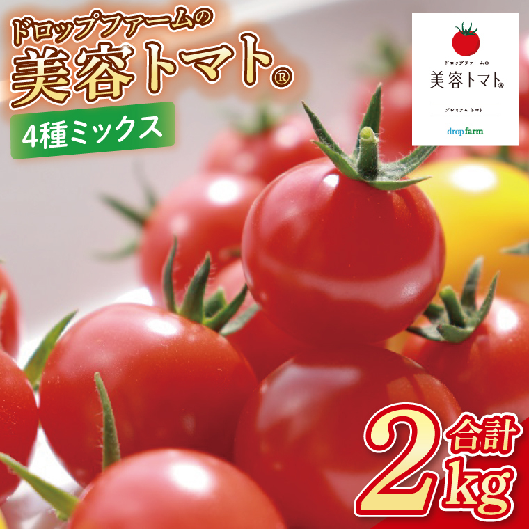 y11`6zhbvt@[̔eg}g ܂2kg(S~bNX)yƂ܂ t[cg}g ؃\G h{m ACR CG[ACR  teBJ  tbV 