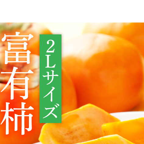【先行予約】【2025年10月下旬以降発送】【数量限定】富有柿 2L 14玉【茨城県共通返礼品/石岡市】【水戸市 茨城県 カキ 柿 フルーツ 果物 くだもの 富有柿 ジューシー 甘い】(IU-10)茨城県水
