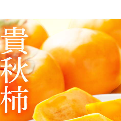 【先行予約】【2025年10月中旬以降発送】【数量限定】貴秋柿 2L 12〜14玉【茨城県共通返礼品/石岡市】【水戸市 茨城県 カキ 柿 フルーツ 果物 くだもの 貴秋柿 ジューシー 甘い】(IU-12)茨城