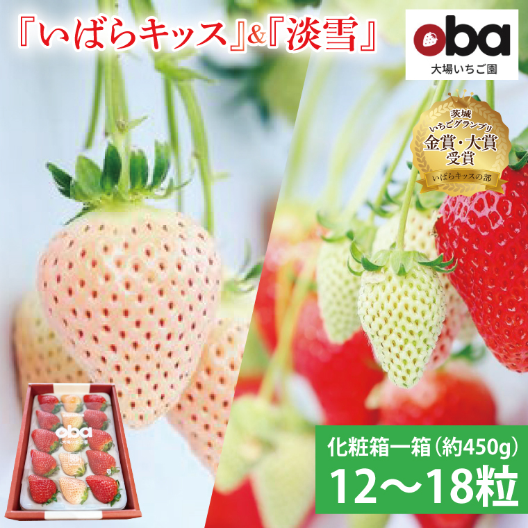 【先行予約】【数量限定】茨城県オリジナル品種『いばらキッス』と希少なプレミアム白イチゴ『淡雪』紅白化粧箱一箱(12粒〜18粒)【いちご 苺 フルーツ 果物 くだもの 水戸市 水戸 】(D