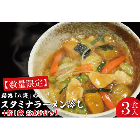 【日時指定必須】麺処「八海」のスタミナラーメン冷し(3食入り)【数量限定】+餡1袋 おまけ付き!【ラーメン 麺 スタミナ 冷やし ラーメン ご当地ラーメン ご当地グルメ 茨城県 水戸