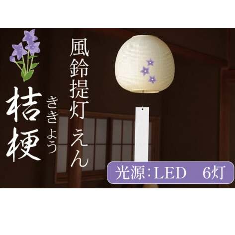  j[y LED a CeA ԐڏƖ  ~ ~p 錧 ˎsziCX-17j錧ˎs60000ߗށEiEH|ȋ iEH|i