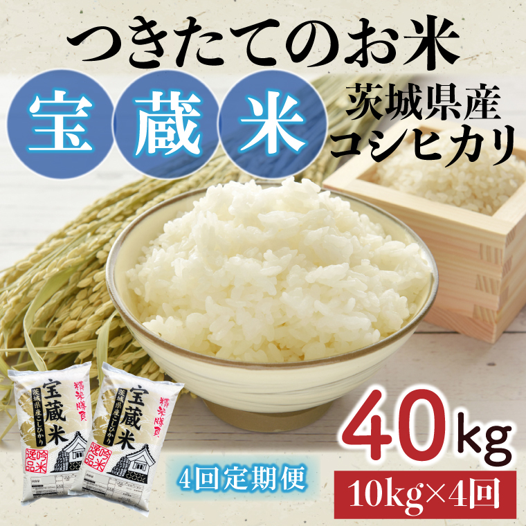 【4ヶ月定期便】【令和7年産】茨城県産コシヒカリ 宝蔵米 10kg×4回【お米 米 菊池 こしひかり つきたてのお米 食味ランキング特A評価 茨城県 水戸市】(CZ-811)茨城県水戸市124000米・パン白