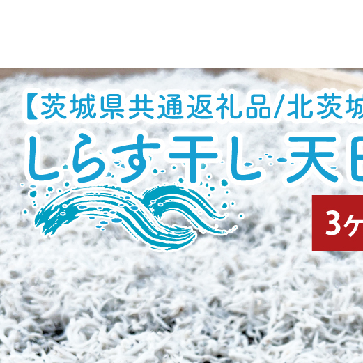 y3ցz炷 V800gi400g×2jy錧ʕԗi/ksz(HY-13)錧ˎs29000ECY̑ ECY