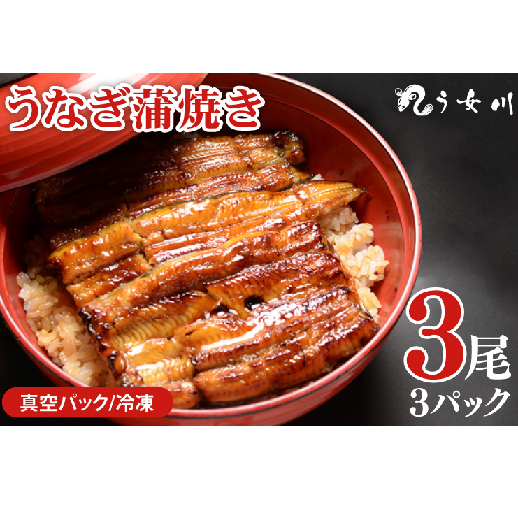 【う女川】うなぎ 蒲焼 かば焼き 3尾(3パック)【鰻 ウナギ 土用丑の日 土用 丑の日 かば焼き 蒲焼き 白焼 たれ焼き】(IX-2)茨城県水戸市38000魚介・海産物うなぎ