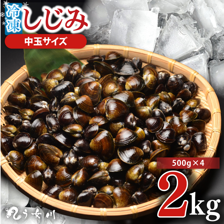  Ⓚ  2kgi500×4jς  yVW~ Ij` ~l r^~B12 o` ̑ X` X[v 錧 ˎsziIX-116j錧ˎs9000ECYL