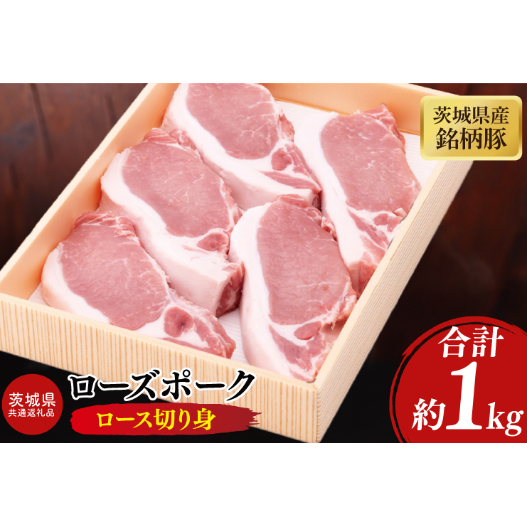 y錧ʕԗiz錧Y؃[Y|[N [X؂g1kgyuh ؓ Ⓚ ˎs 錧z(JB-13)錧ˎs16000ؓ