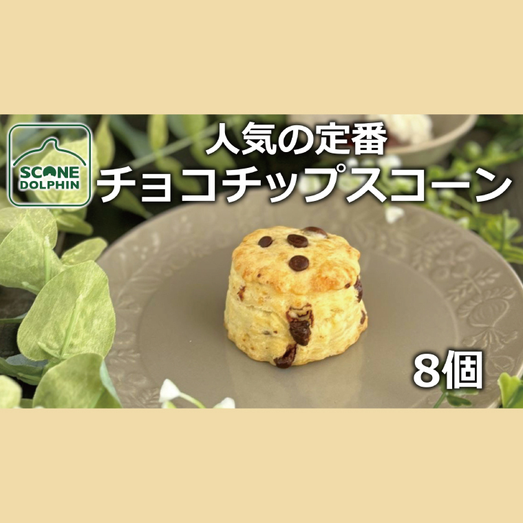 チョコチップスコーン 8個【人気 しっとり 冷凍 冷凍スコーン ミルクチョコレート チョコレート 本場 イギリス 焼き菓子 スイーツ 水戸市 水戸 茨城県 15000円以内】(AR-16)茨城県水戸市12000