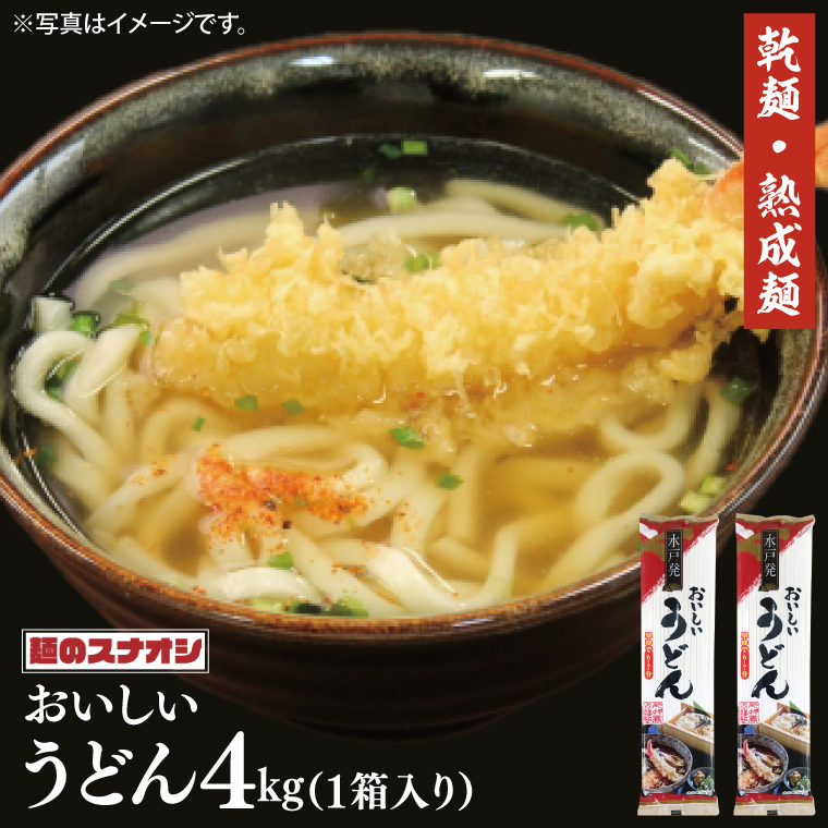【麺のスナオシ】水戸発 おいしいうどん1箱 4kg(200g×20袋)(乾麺)【饂飩 麺 長期保存 保存食 防災 人気 大容量 水戸市 茨城県】(BY-15)茨城県水戸市6000麺