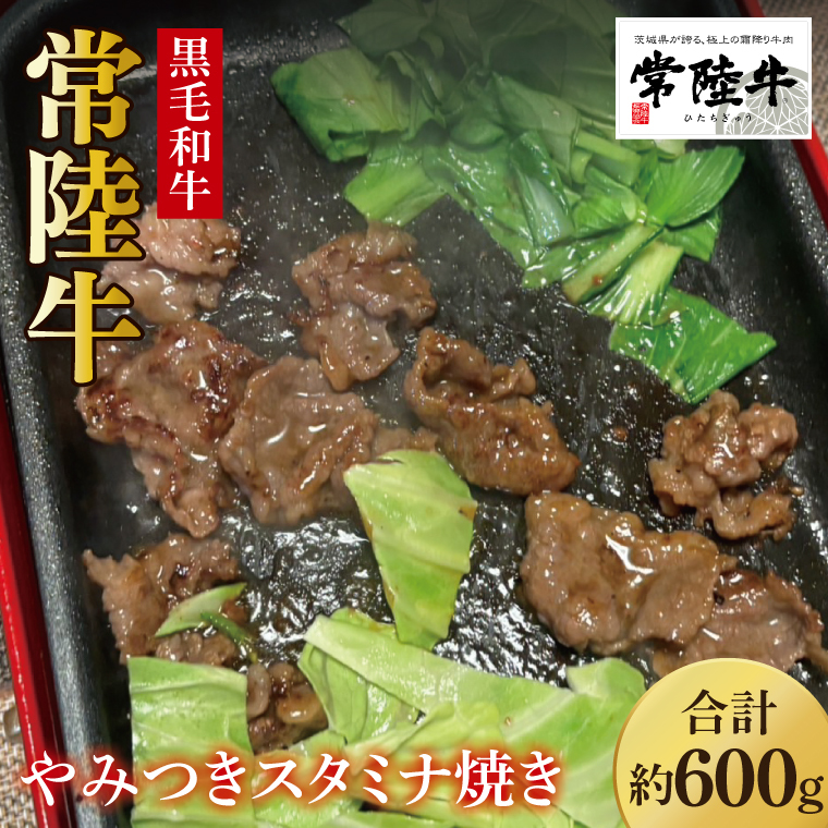 【数量限定】イチオシ!!常陸牛やみつきスタミナ焼600g【牛肉 和牛 ブランド牛 常陸牛 パーティ BBQ バーベキュー 水戸市 茨城県】(MJ-2)茨城県水戸市8000肉