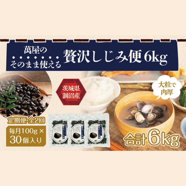 【2ヶ月定期便】涸沼産冷凍しじみ中粒3kg(100g×30p)【シジミ 中粒しじみ 産地直送 砂抜き済み 砂抜き 小分け包装 味噌汁 みそ汁 茨城県】(CA-15)茨城県水戸市60000魚介・海産物貝類
