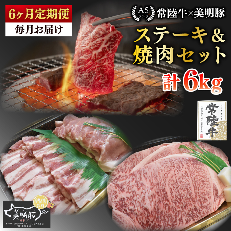【6ヶ月定期便】【常陸牛 A5ランク・美明豚ステーキ焼肉セット】常陸牛サーロイン600g(300g×2枚)+美明豚400g(ロース200g・ばら200g)【冷凍 国産牛 和牛 牛肉 豚肉 ブランド豚 茨城