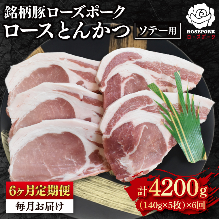 y6ցzy[Y|[Nz[XƂ񂩂\e[p700gi140g×Tj Ⓚ  ؓ uh 錧 ˎs  YiEK-39_2j錧ˎs54000ؓ