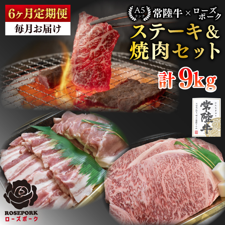 【6ヶ月定期便】【常陸牛 A5ランク・ローズポークステーキ焼肉セット】常陸牛サーロイン900g(300g×3枚)+ローズポーク600g(ロース300g・ばら300g) 冷凍 国産牛 和牛 牛肉 豚肉 ブ