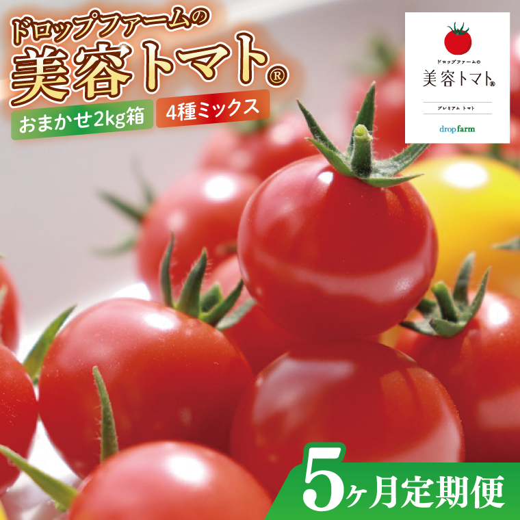 【5ヶ月定期便】【11月より順次発送】ドロップファームの美容トマトおまかせ2kg箱(4種ミックス)【とまと フルーツトマト 野菜ソムリエ 栄養士 アイコ イエローアイコ 小鈴 フルティカ 野