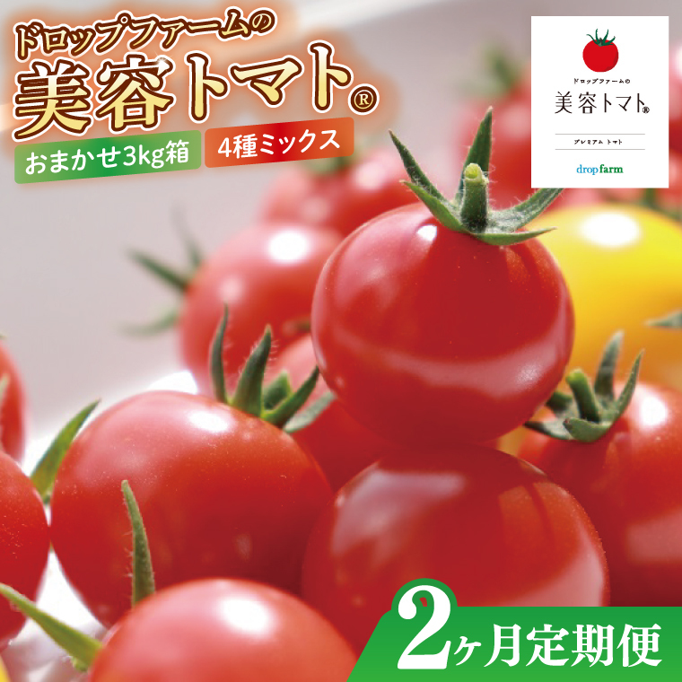 【2ヶ月定期便】【11月より順次発送】ドロップファームの美容トマトおまかせ3kg箱(4種ミックス)【とまと フルーツトマト 野菜ソムリエ 栄養士 アイコ イエローアイコ 小鈴 フルティカ 野