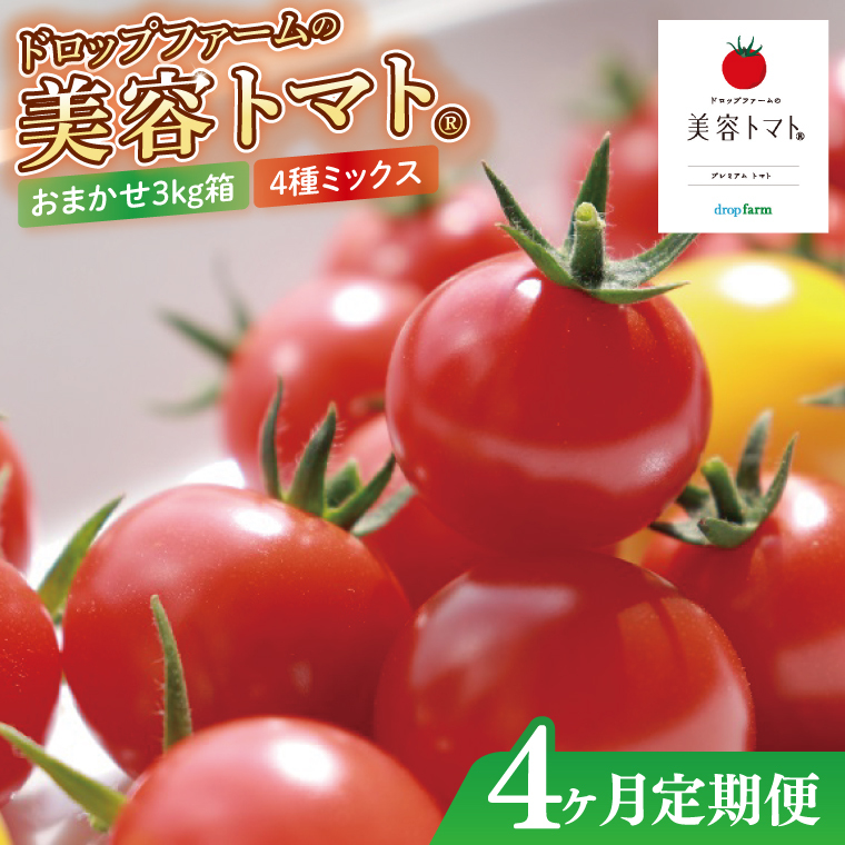 【4ヶ月定期便】【11月より順次発送】ドロップファームの美容トマトおまかせ3kg箱(4種ミックス)【とまと フルーツトマト 野菜ソムリエ 栄養士 アイコ イエローアイコ 小鈴 フルティカ 野