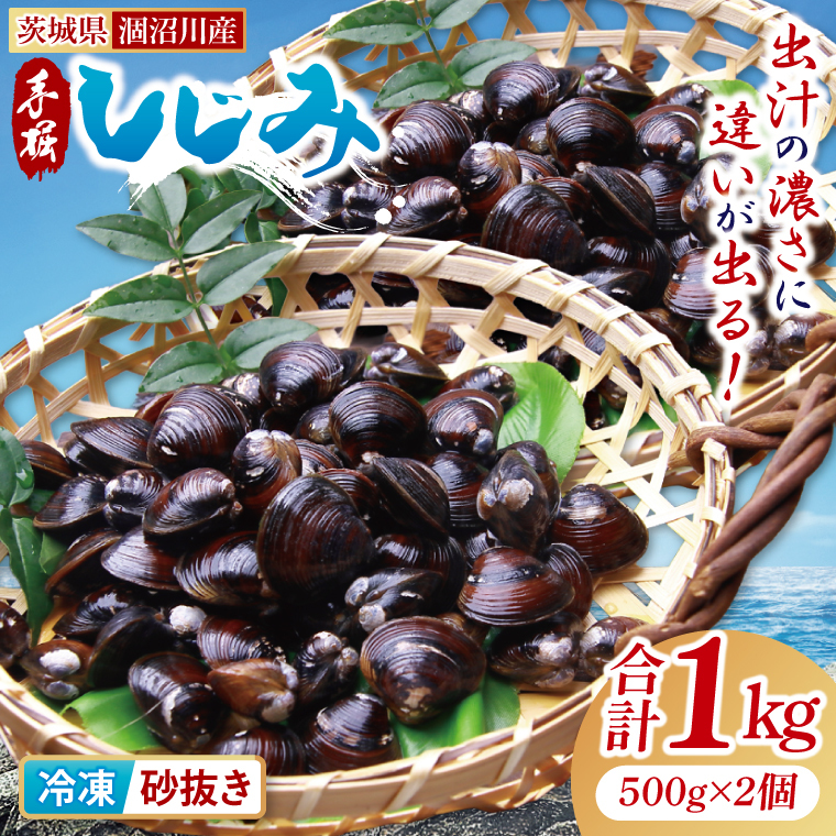 茨城県涸沼川産 だしの濃さに違いが出る!手掘しじみ(砂抜き)500g×2個(1kg)【涸沼川 シジミ オルニチン 味噌汁 スープ 茨城県 水戸市】(MS-7)茨城県水戸市7000魚介・海産物その他 魚