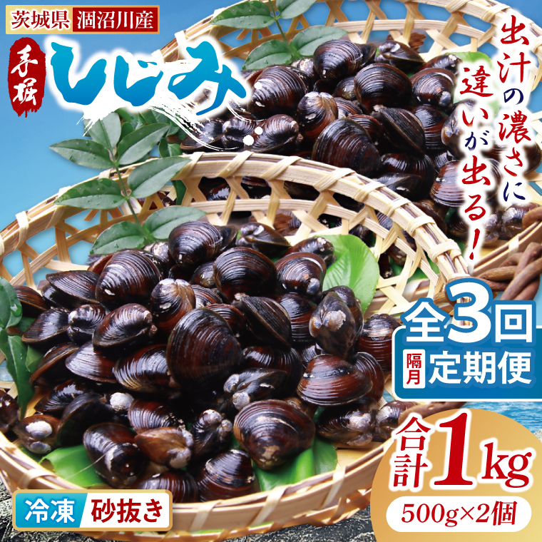 【全3回隔月定期便】茨城県涸沼川産 だしの濃さに違いが出る!手掘しじみ(砂抜き)500g×2個(1kg)【涸沼川 シジミ オルニチン 味噌汁 スープ 茨城県 水戸市】(MS-9)茨城県水戸市21000魚