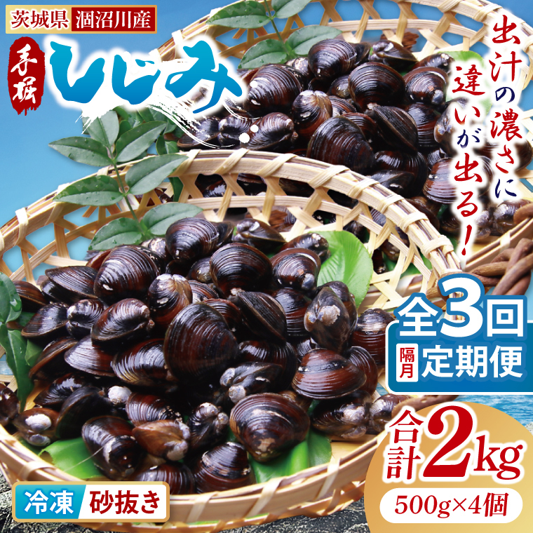 【全3回隔月定期便】茨城県涸沼川産 だしの濃さに違いが出る!手掘しじみ(砂抜き)500g×4個(2kg)【涸沼川 シジミ オルニチン 味噌汁 スープ 茨城県 水戸市】(MS-10)茨城県水戸市3900