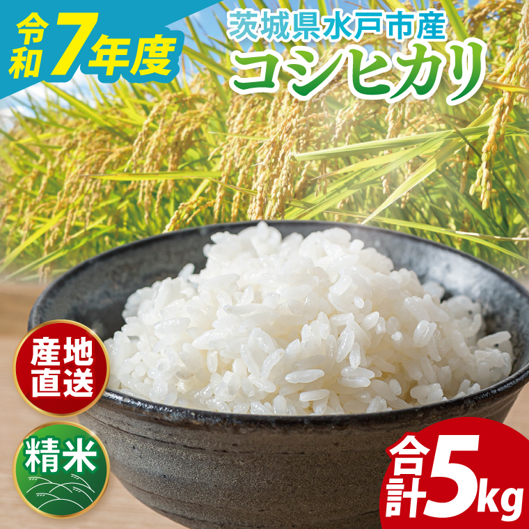 【翌月より順次発送】【数量限定】【令和7年度産】茨城県産コシヒカリ 5kg【米 おこめ こしひかり 農家直送 直送 水戸市 茨城県】(ND-3)茨城県水戸市14000米・パン白米