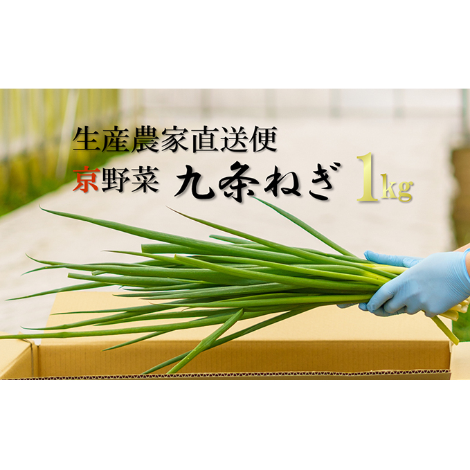 生産農家直送 京野菜・九条ねぎ1kg〈ねぎ ネギ 葱 九条ねぎ 京野菜 京都 新鮮 甘い 農家直送 野菜〉 京都府宇治田原町11000野菜・きのこ玉ねぎ・ねぎ