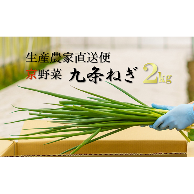 生産農家直送 京野菜・九条ねぎ2kg〈ねぎ ネギ 葱 九条ねぎ 京野菜 京都 新鮮 甘い 農家直送 野菜〉 京都府宇治田原町20000野菜・きのこ玉ねぎ・ねぎ
