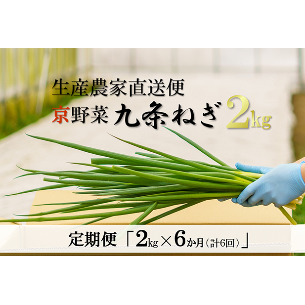 【6か月定期便】生産農家直送 京野菜・九条ねぎ2kg〈定期便 ねぎ ネギ 葱 九条ねぎ 京野菜 京都 新鮮 甘い 農家直送 野菜〉 6ヶ月 6回 半年 京都府宇治田原町120000野菜・きのこ玉ねぎ・ねぎ