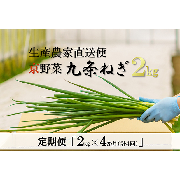【4か月定期便】生産農家直送 京野菜・九条ねぎ2kg〈定期便 ねぎ ネギ 葱 九条ねぎ 京野菜 京都 新鮮 甘い 農家直送 野菜〉 4ヶ月 4回 京都府宇治田原町80000野菜・きのこ玉ねぎ・ねぎ