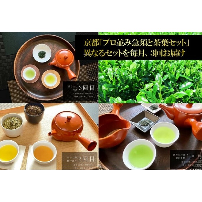 京都「プロ並み急須と茶葉セット」 初級者向け(熱め〜湯さまし)全3回×3ヵ月コース〈定期便 お茶 茶 煎茶 緑茶 茶葉 雁が音 茎茶 焙じ ほうじ茶 急須 陶器 工芸品 セット〉 飲料類 加工