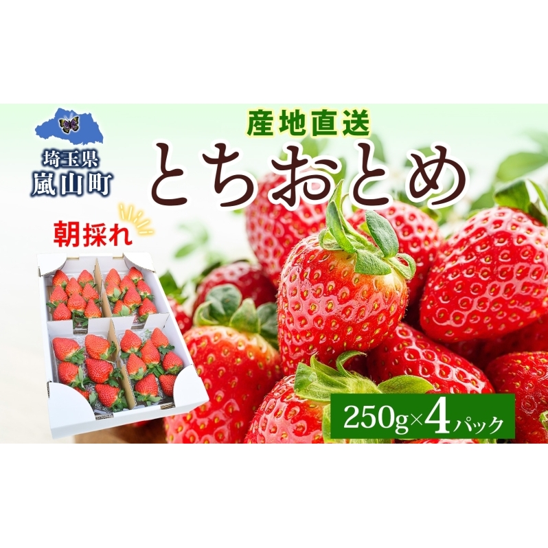 朝採れ とちおとめ 完熟 イチゴ 250g× 4パック セット 1kg 産直 果物 いちご デザート スイーツ 甘い 美味しい 真っ赤 酸味 ハウス 甘味 バランス 品質管理 手摘み 冷蔵 埼玉県 嵐山町埼玉県嵐