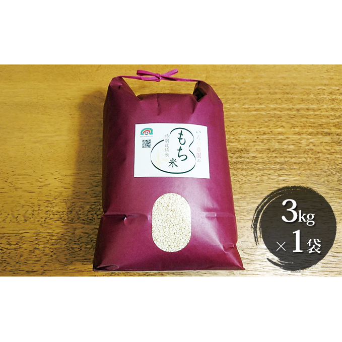 特別栽培米 日進市産もち米 3kg×1袋 餅米 3kg 愛知県日進市15000米・パン玄米・雑穀米・もち米・餅