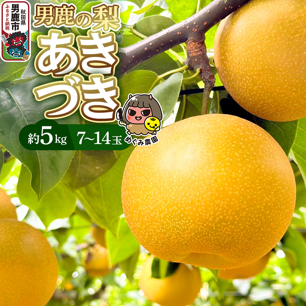 先行受付 男鹿の梨 あきづき 約5kg 7〜14玉 梨 秋田県 男鹿市 <めぐみ農園>秋田県男鹿市15200果物・フルーツりんご・梨
