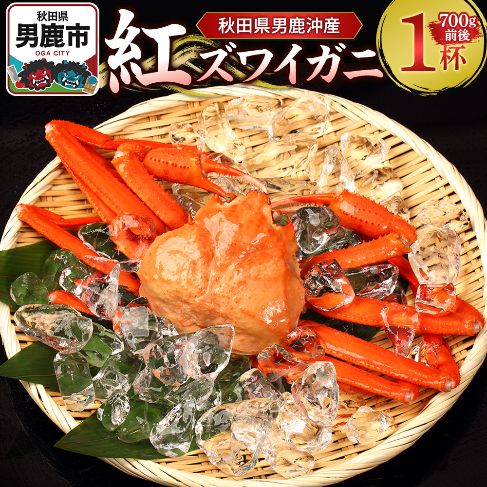 男鹿沖産紅ズワイガニ 700g 前後×1杯 男鹿なび 蟹 カニ 国産 秋田 ずわい蟹 ずわいガニ秋田県男鹿市20700魚介・海産物カニ