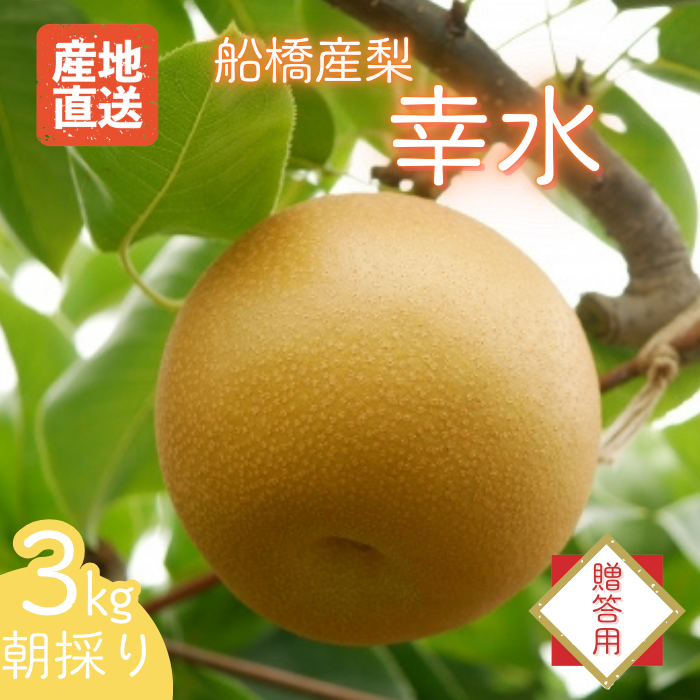 D011-2025 【贈答用】果汁たっぷりの極上梨「幸水・3kg」(2025年産)千葉県船橋市18000果物・フルーツりんご・梨