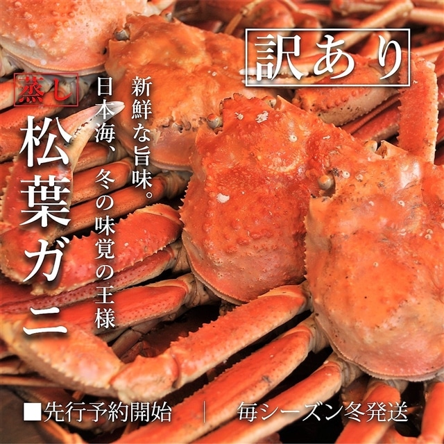 【蒸し】訳あり足折れ松葉ガニ 計1kg前後 鳥取 ずわいがに 訳アリ かに TM16 0726鳥取県江府町40000魚介・海産物カニ